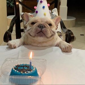 Meet your Posher, Sam